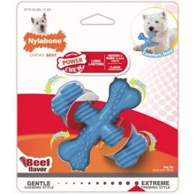 Nylabone Dura Chew X-Bone - Beef Flavor - Regular - 1 Pack  (Dogs up to 15 lbs)