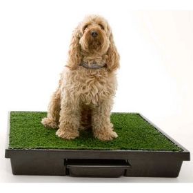 PetSafe Pet Loo Dog Potty Training System - Medium - PWM00-14498