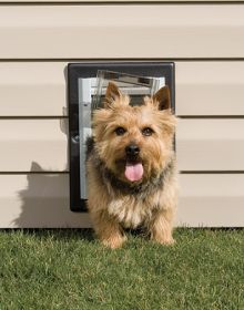 PetSafe Wall Dog Door - Small - ZPA00-16201