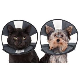 ZenPet Zen Cone Soft Recovery Collar (Option 1: Small, Option 2: 1 count)