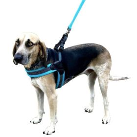 Sporn Easy Fit Dog Harness Blue (Option 1: Small 1 count)